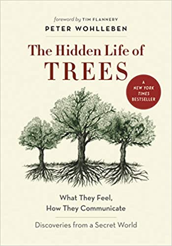 Cover of The Hidden Life of Trees: What They Feel, How They Communicate by Peter Wohlleben , Jane Billinghurst, et al.