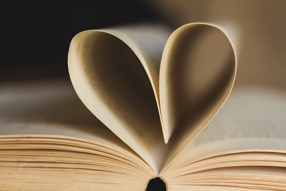 a book, as seen from above, with it's pages bent to make a heart shape