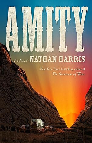Cover for Amity by Nathan Harris 
