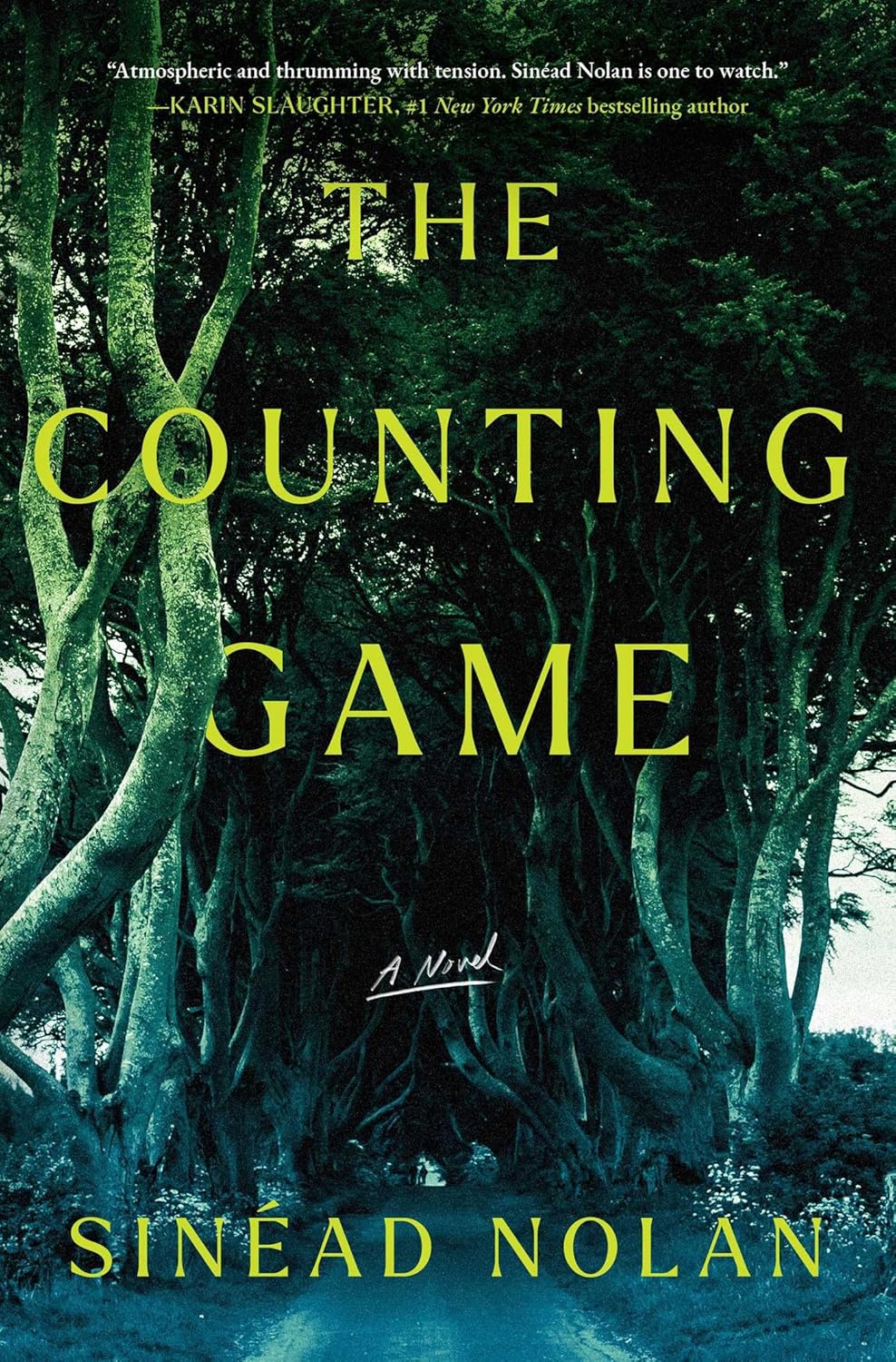 Image for "The Counting Game"