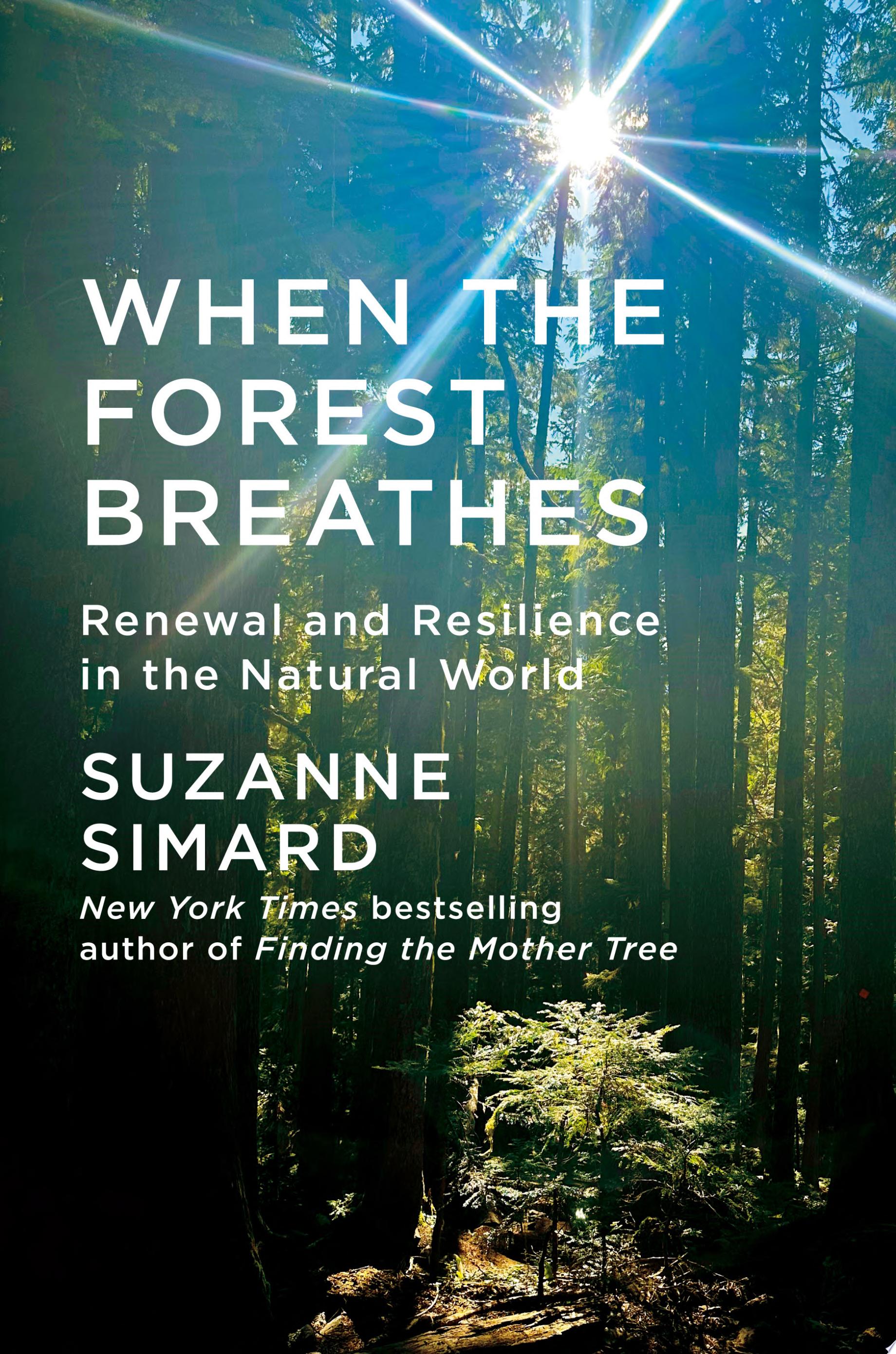 Image for "When the Forest Breathes"