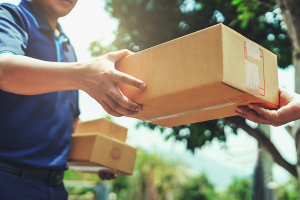 Mail man hand-delivering a box to someone