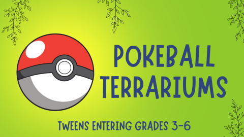 Pokeball terrariums. For tweens entering grades 3-6.