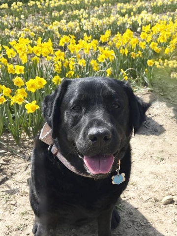 Carly's headshot