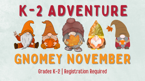Fall Gnomes