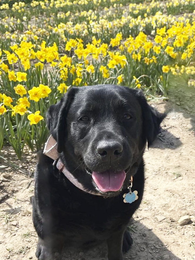 Carly's headshot
